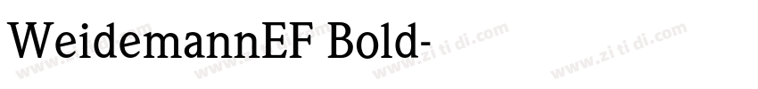 WeidemannEF Bold字体转换